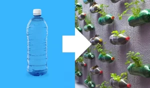 plastic bottles were recycled to make a vertical garden