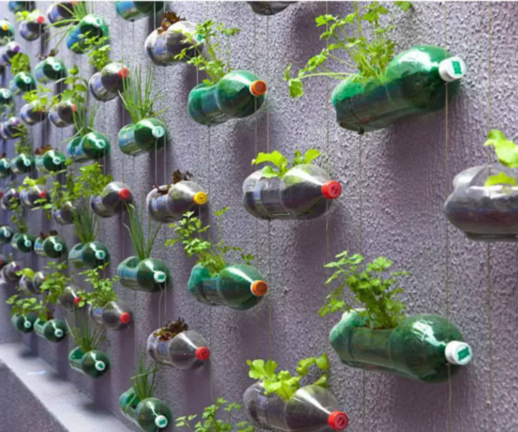 vertical garden with plastic bottles